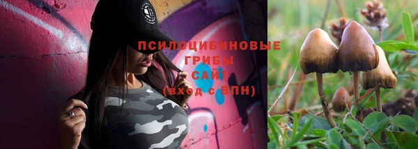 таблы Богданович