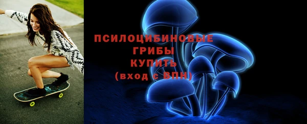 стафф Богородск