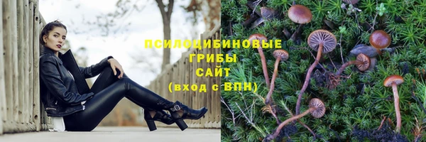 бутират Богородицк